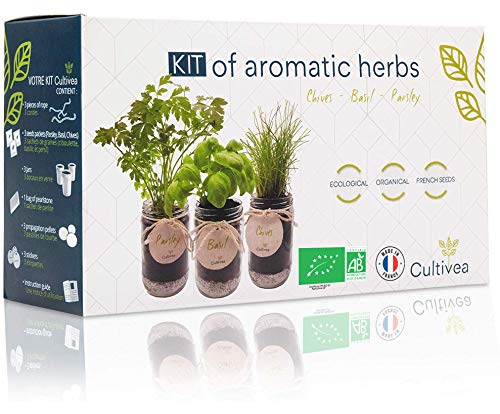 Cultivea® Kit Completo de Hierbas - Cultiva Tus propias Hierbas aromáticas -...