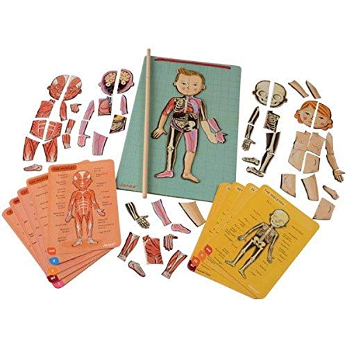 Janod Bodymagnet Juego Educativo del Cuerpo Humano - Anatomía, Órganos,...