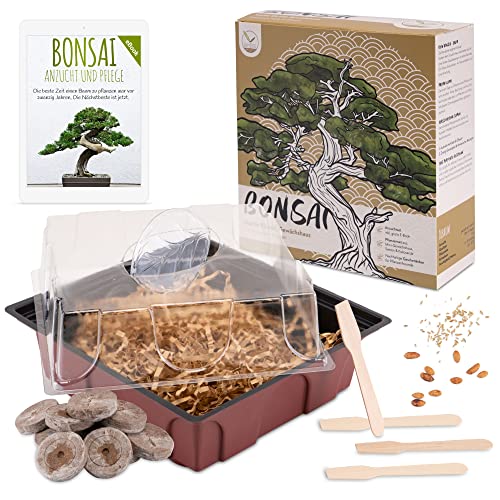 HappySeed Bonsai Kit Incl. eBook Gratuito - Set de Plantas con Mini Invernadero,...