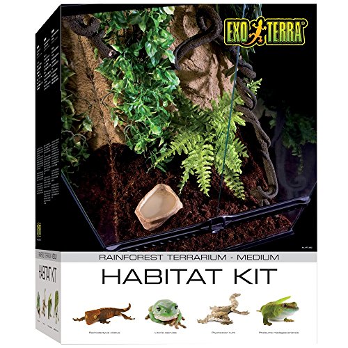 Exo Terra Kit Habitat Tropical Mediano de 120 L, 45 x 45 x 60 cm